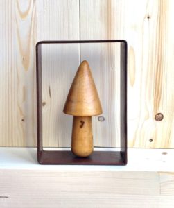 boletus-de-cerca